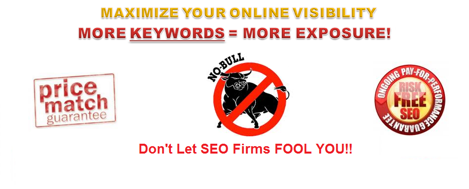 check seo of internet