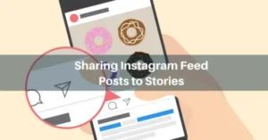 How to Share Posts From the Instagram Feed to Stories